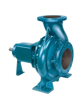 Rectangle_34627880__1_-removebg-preview